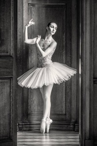 Portfolio Builder with Erica Mulkern