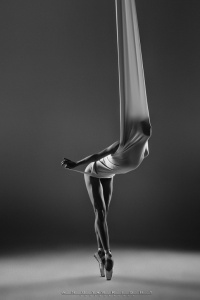 Portfolio Builder with Erica Mulkern