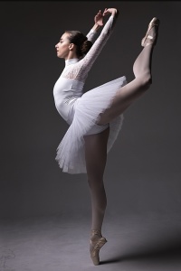 Portfolio Builder with Erica Mulkern