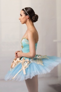 Portfolio Builder with Erica Mulkern