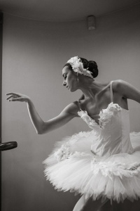 Portfolio Builder with Erica Mulkern