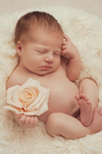 Newborn photography by Amie Boulton